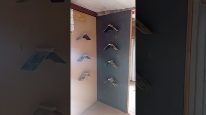 10 maja puszczamy ptaki  #golebie #permaculture #hodowlagolebi