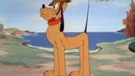 Pluto - Prywatny Pluto