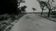 Trzej bracia N.  Dokument 1977