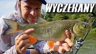 516 MOCNA RZEKA CIĄGLE UCZY - FEEDER ODRA