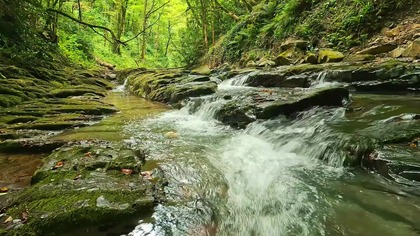 Woodland Stream Cascades in 4K &bull; Fresh Water Flow for Relax & Concentration