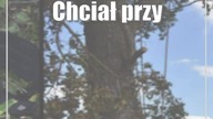 Chciał przyciąć gałęzie.  Mężczyzna spadł z ponad 8 metrów
