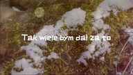 YANG 6 - 11 (LATO) VID.  MASZUP IG: @yang. music