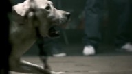 Alfabet Smierci  D -Dogfigh  (śmiertelna walka psa)