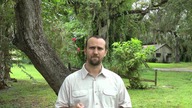 Życie w USA: Hejt na YouTube, poziom MASTER