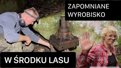 TORY I STARE WYROBISKO W ŚRODKU LASU.
