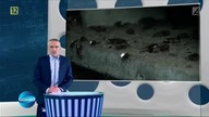 Galileo. 556. PDTV. RiP. MaKaRoN. avi