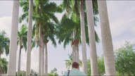 Dayanara - me lo crei