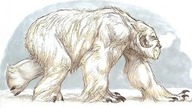 Sheepsquatch czyli odległy kuzyn Wielkiej Stopy terroryzujący amerykańskich kampingowców