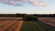 Nowe Intro