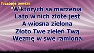Czerwone Gitary - Jeszcze dzień najwyżej dwa - z linią melodyczną ( karaoke )