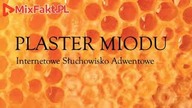 PLASTER MIODU  Odcinek 13  Ryba w imbirze