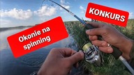 Okonie na spinning // KONKURS // wrzesień 2020