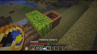 Watermelons #minecraft #game #bruh #games #Short #Shorts #rainsounds #Rain