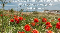 świadectwo zmartwychstania syna