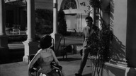 Krzyk Strachu [1961]