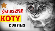 ŚMIESZNE KOTY #20  DUBBING: MATT OLECH
