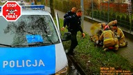Pozytywne zachowania na drodze - uprzejmość, życzliwość i właściwa postawa polskich kierowców #7