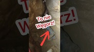  Wszedł w Zacisk w Jaskini!  Wił się jak węgorz!  #jaskinia #caving #ciekawostki #ciasno