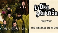 Łydka Grubasa - Nie mieszczę się w drzwi (Bąż Woa, 2010)