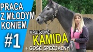Praca z młodym koniem - Część 1