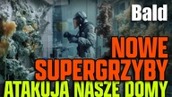 ALARM W BUDOWLANCE NOWE GRZYBY ODPORNE NA ŚRODKI GRZYBOBÓJCZE