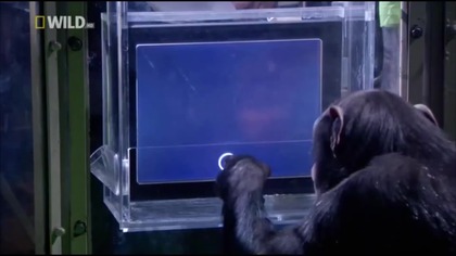 Czy naprawdę człowiek - korona stworzenia Człowiek kontra Zwierzęta [Reupload]