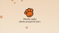 Mały pies - duży problem