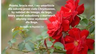 Audycja Wyzwolony - Greg Jensen