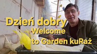 Papużki faliste i nimfy * Budgerigars and cockatiels
