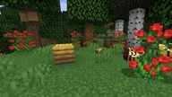 Film o pszczołach | Minecraft