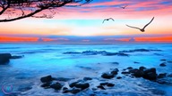 10 Hours Of Relaxing Saxophone Music For | Deep Sleep Fade To Black Dark Screen | Sleep Music