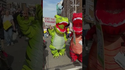 No Kings Protest Highlights