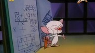 Pinky i M&oacute;zg S03E02 - Pinky i M&oacute;zg i Larry - Gdzie bawią się jelenie i myszolopy