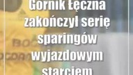 Górnik Łęczna zakończył serię sparingów wyjazdowym starciem z Wisłą Kraków