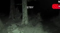 ZBROJA PEŁNA #dc #dlaciebie #twitch #outlast #live