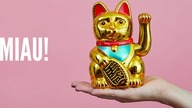 MANEKI NEKO, CZYLI KOT Z MACHAJĄCĄ ŁAPKĄ #CHINY