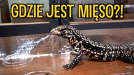 Carlos DECYDUJE który robak smakuje NAJLEPIEJ 