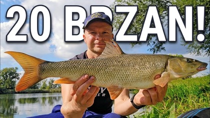 REKORDOWY DZIEŃ NA ODRZE !!! ZŁOWIŁEM 20 BRZAN !!! TYLKO KLASYCZNY FEEDER !!!