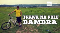 Trawa na polu BAMBRA #105