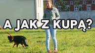 Pani grzebała w DNA tego psa!! / Bartek Usa