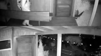 Chodził nocą po działkach na Manhattanie.  Nagrała go kamera