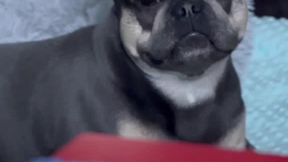 Wszystkiego ciekawy Secik.