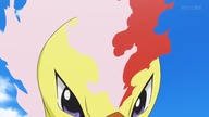 Fletchinder Evolves