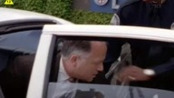 03 Goraczka w miescie S01E03 TELE5