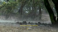 NATIONALGEOGRAPHIC - 04-04-2023 - Zapowiedzi, Reklamy, Ident