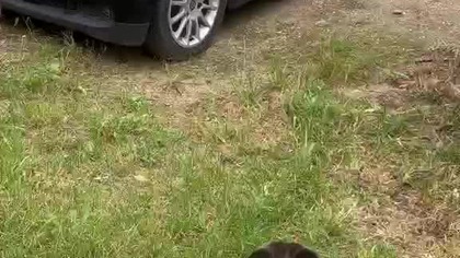 6870aac8-01cc-4861-b77a-ccb72ff75bb6