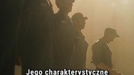 TO: WITAJCIE W DERRY  to on stworzył muzykę? #towitajciewderry #horror #hbomax