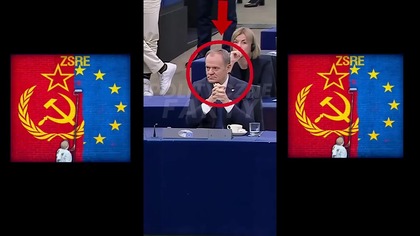 Niemiecki polityk obnażył obłudę antypolskiego premiera Donalda Tuska w PE