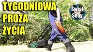 Tygodniowa proza życia i walka z nią